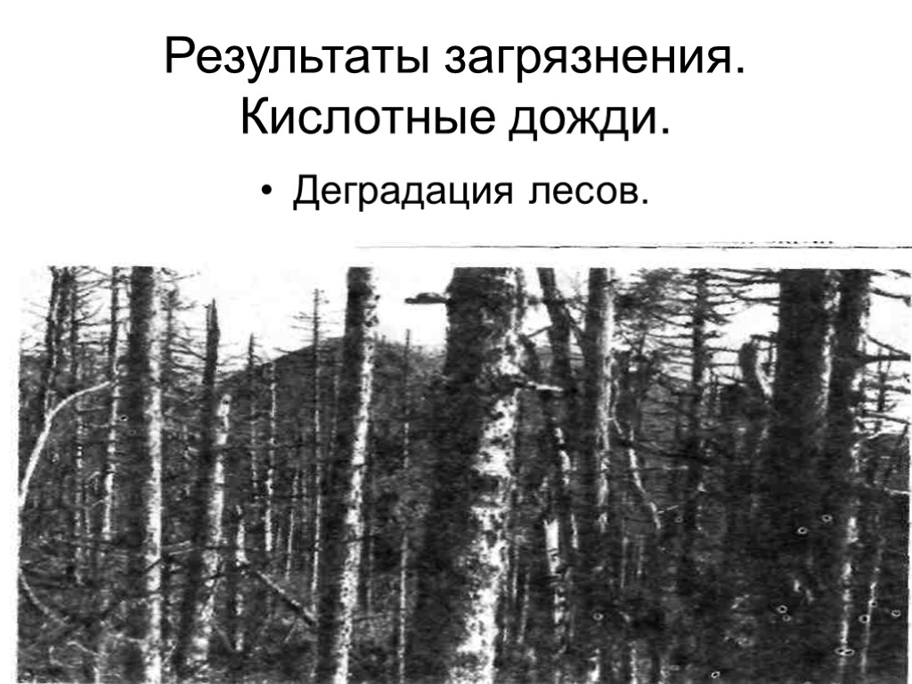 15 Результаты загрязнения. Кислотные дожди. Деградация лесов.